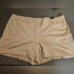 Lane Bryant Khaki Shorts Plus Size 28 NWT